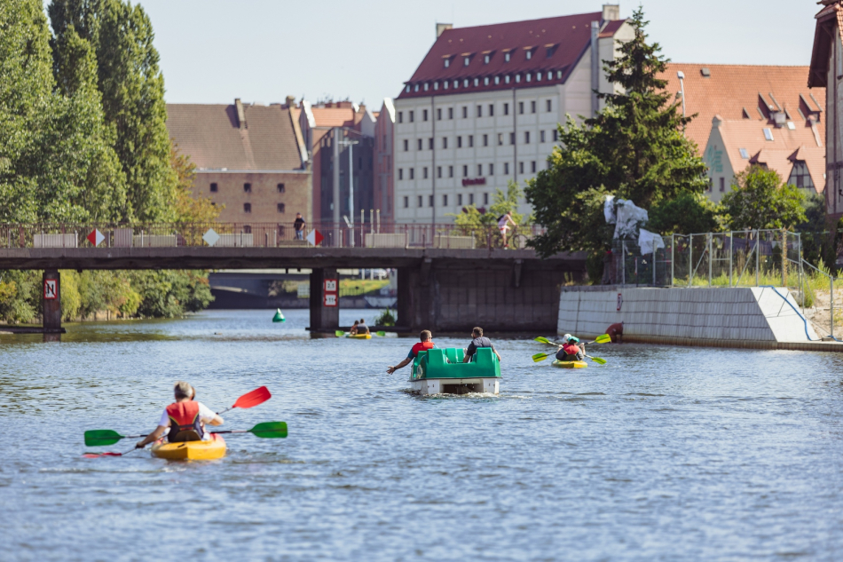 20230708-sprzatanie-34_1599x1066