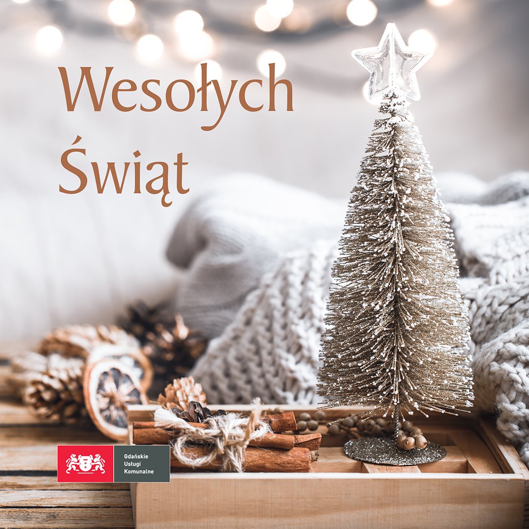 Wesołych Świąt i Nowego Roku pełnego pomyślności!