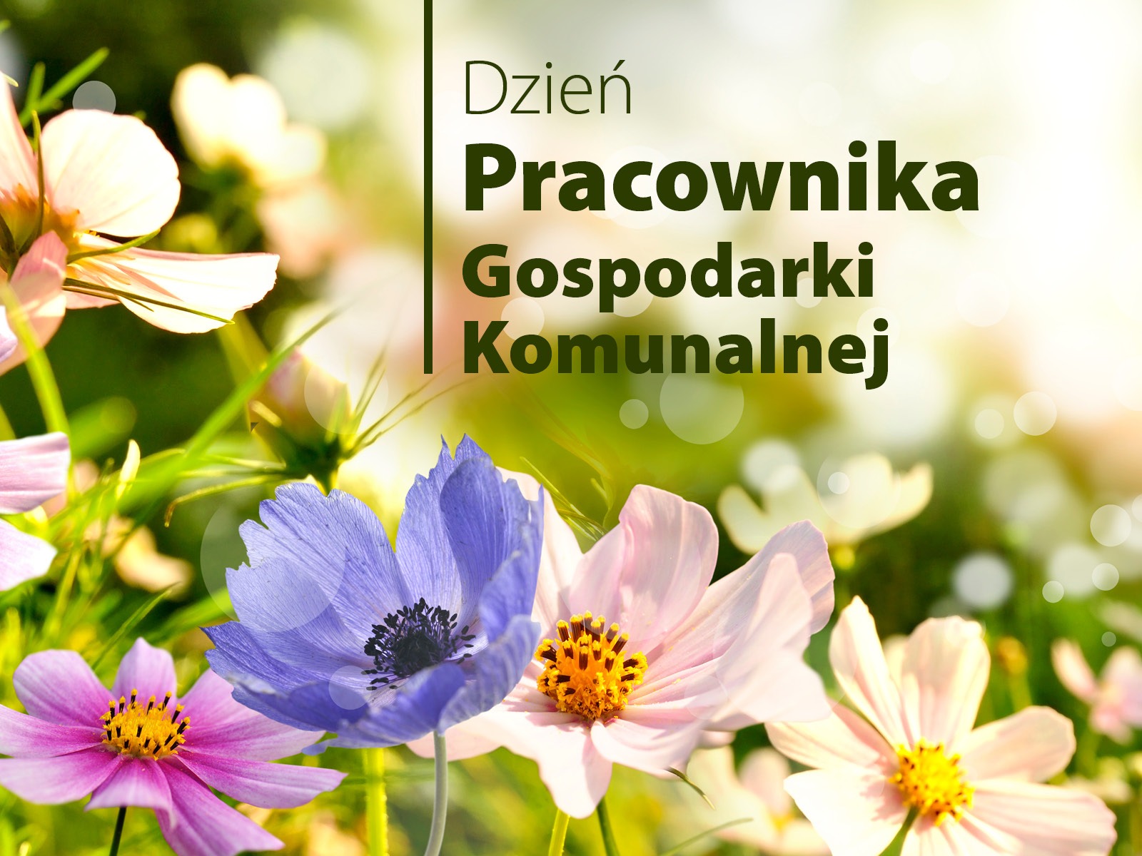 Dzień Pracownika Komunalnego